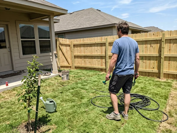 New pressure-treated pine fence in a recently built section